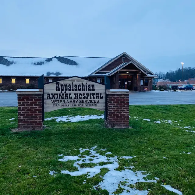 Appalachian Animal Hospital — customer photo 6