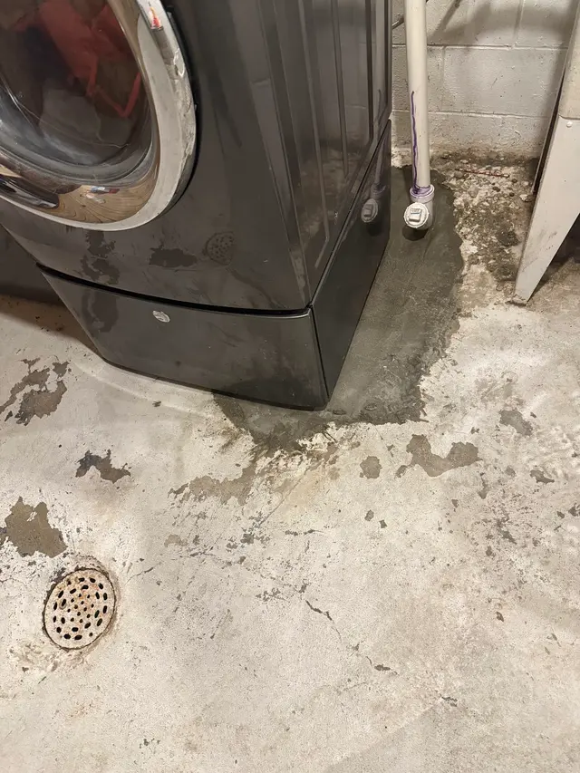Customer photo of work by Sam's Sewer & Drain Service LLC, from Steven Cody's review