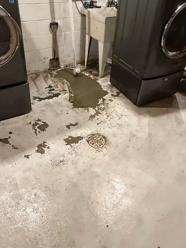 Customer photo of work by Sam's Sewer & Drain Service LLC, from Steven Cody's review