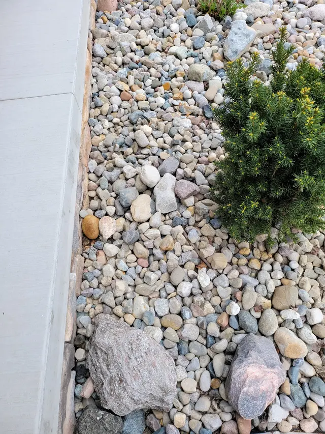 Maximum Flush Sewer and Drain — photo from the business 12