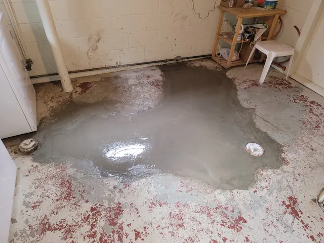 Maximum Flush Sewer and Drain — photo from the business 11
