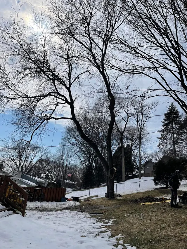 Gillis Lawn & Tree Care — photo from the business 8