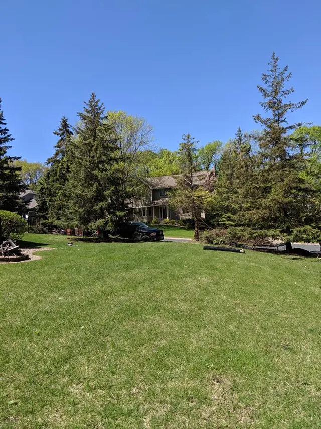 Gillis Lawn & Tree Care — photo from the business 12