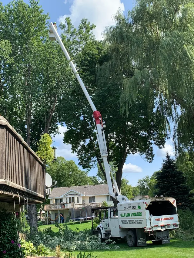 Gillis Lawn & Tree Care — customer photo 11