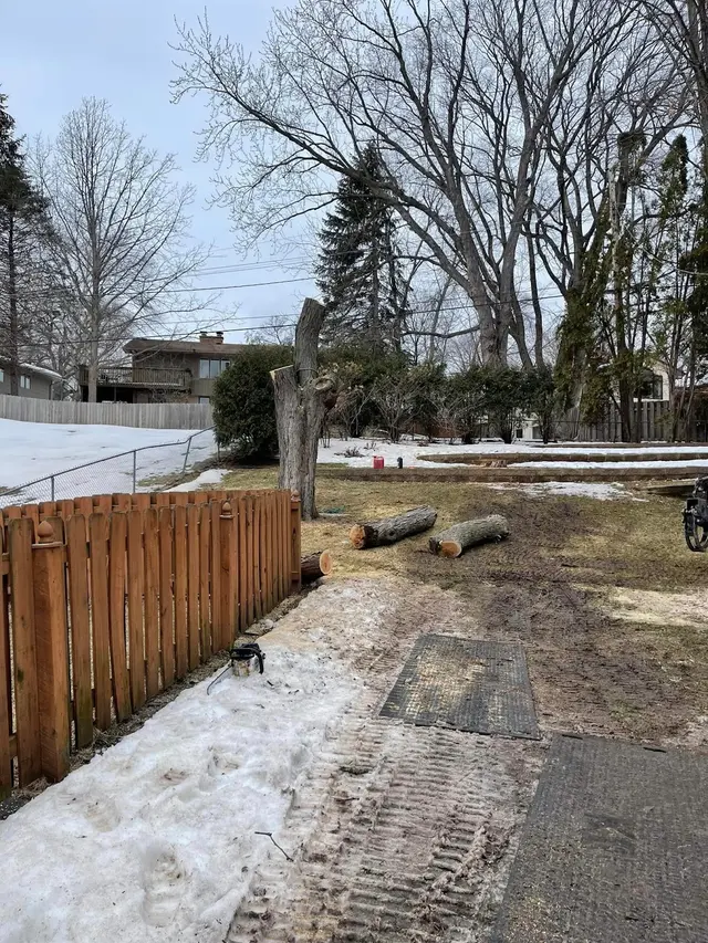 Gillis Lawn & Tree Care — photo from the business 6