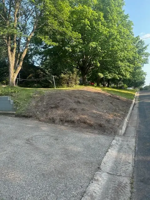 Gillis Lawn & Tree Care — photo from the business 3