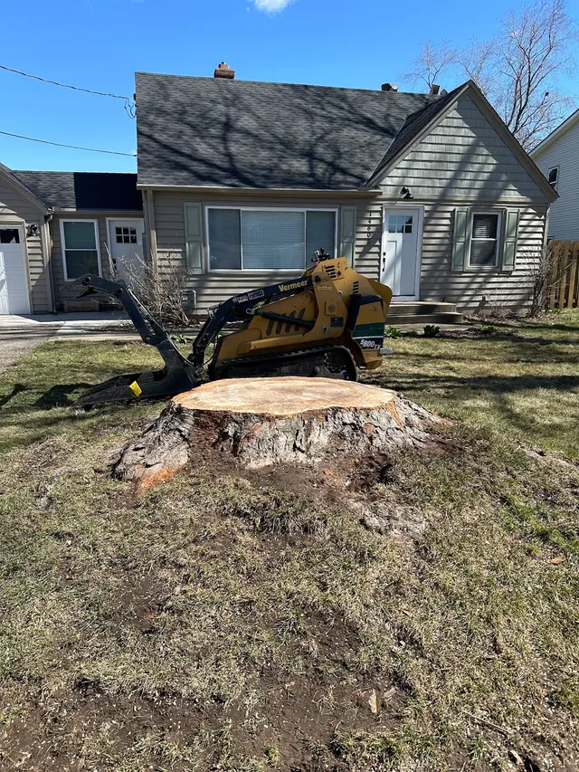 Gillis Lawn & Tree Care — photo from the business 1