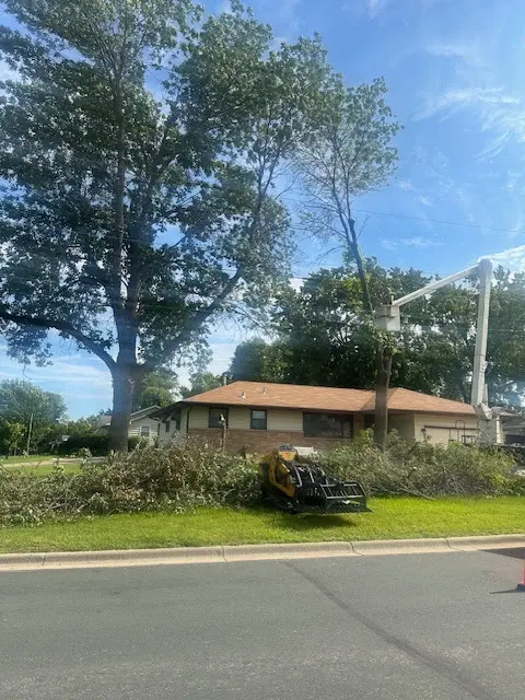 Gillis Lawn & Tree Care — photo from the business 9