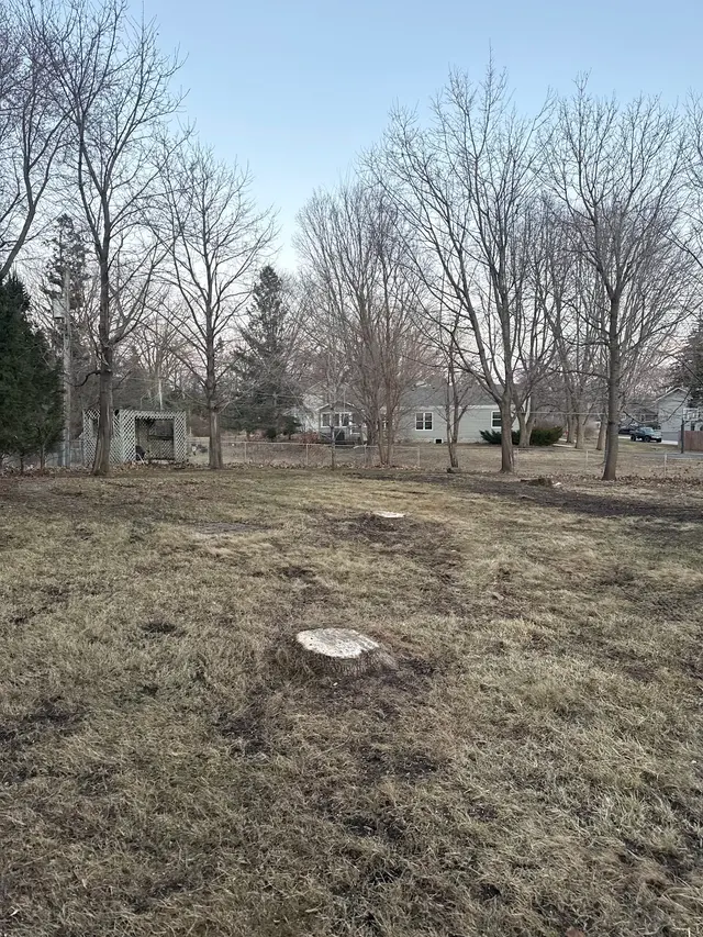 Customer photo of work by Gillis Lawn & Tree Care, from Julia Khan's review