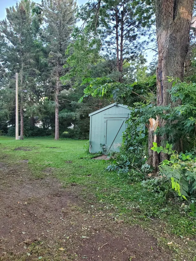 Customer photo of work by Leroy's Lawn Care & Maintenance, Snow Removal LLC, from Bella's review