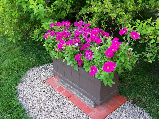 Turtle Creek Nursery & Landscaping — customer photo 5