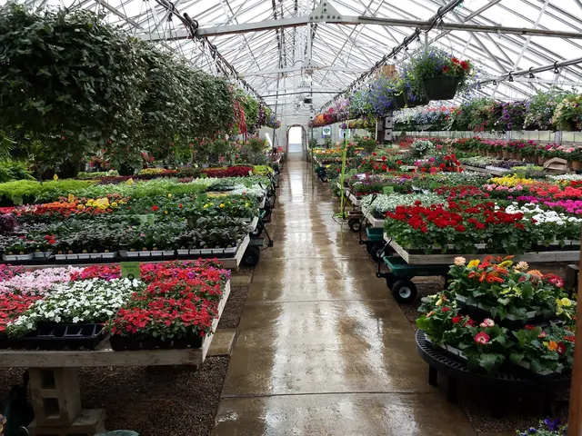 Turtle Creek Nursery & Landscaping — photo from the business 3