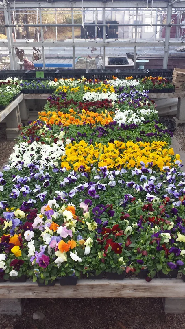 Turtle Creek Nursery & Landscaping — photo from the business 7