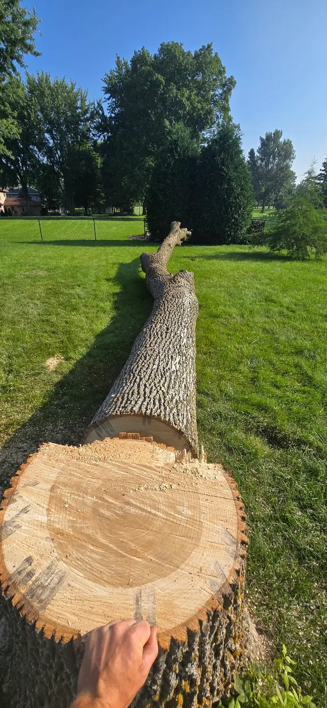 WoodchuX Tree Care LLC. — photo from the business 3