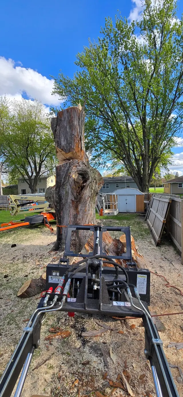 WoodchuX Tree Care LLC. — photo from the business 6