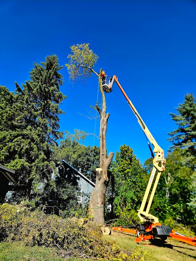 WoodchuX Tree Care LLC. — photo from the business 2