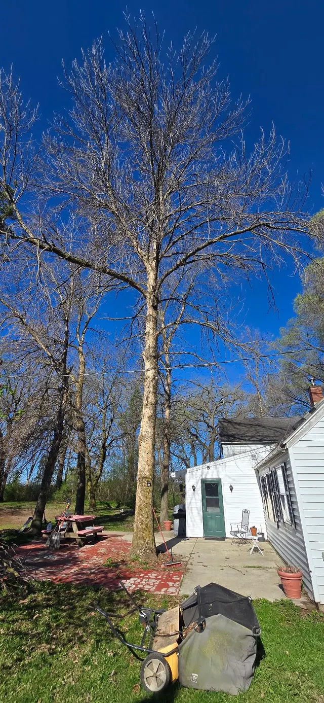 WoodchuX Tree Care LLC. — photo from the business 4