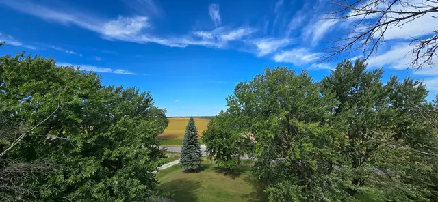 WoodchuX Tree Care LLC. — photo from the business 1