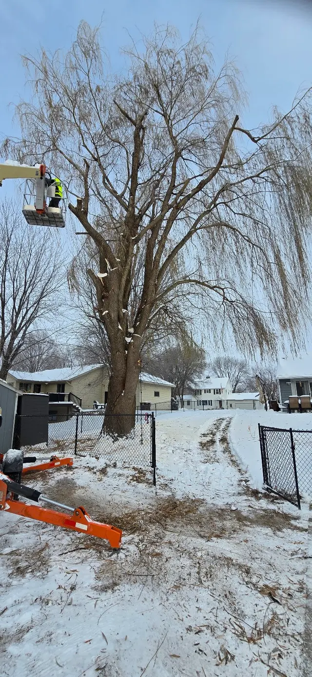 WoodchuX Tree Care LLC. — photo from the business 8