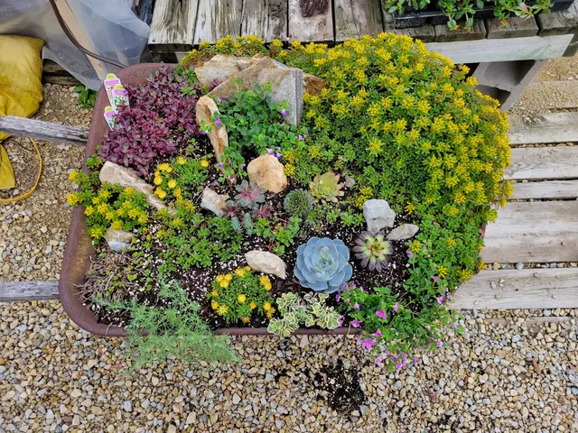 Knecht's Nurseries & Landscaping — customer photo 8
