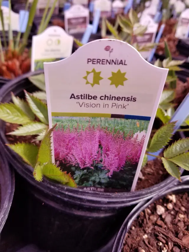 Knecht's Nurseries & Landscaping — customer photo 4