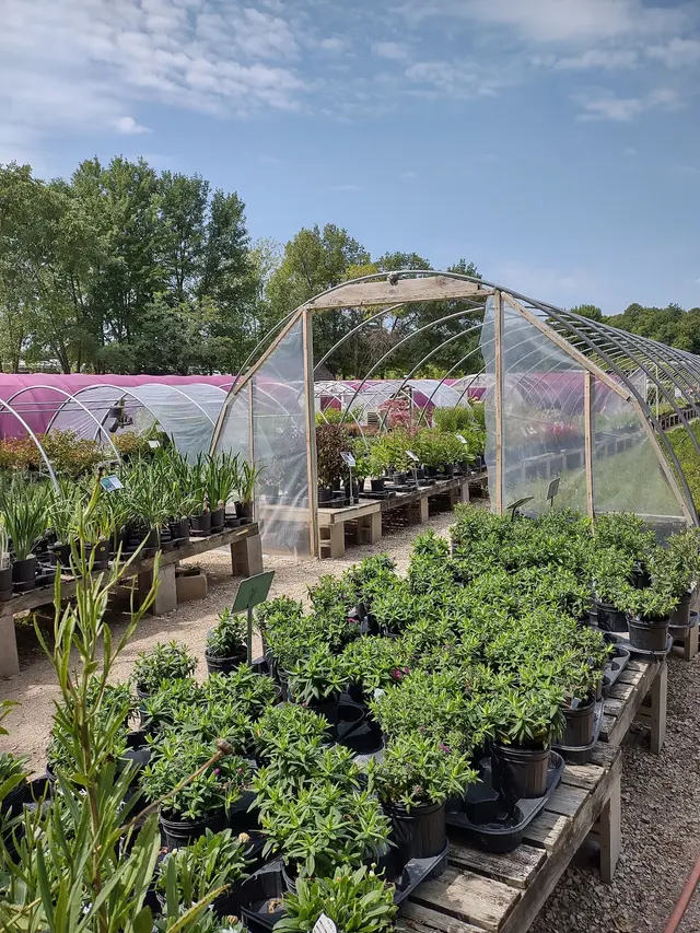 Knecht's Nurseries & Landscaping — customer photo 3
