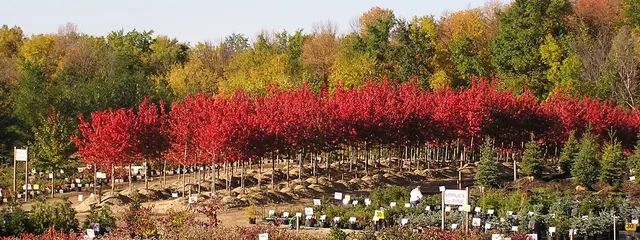 Knecht's Nurseries & Landscaping — photo from the business 1