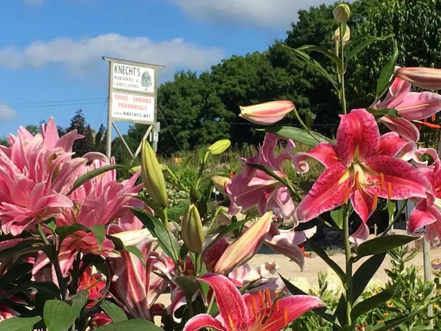 Knecht's Nurseries & Landscaping — photo from the business 5