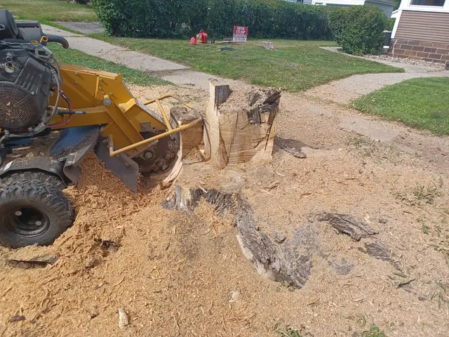 Krenik Stump Grinding L.L.C. — photo from the business 12