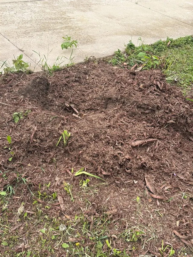 Customer photo of work by Krenik Stump Grinding L.L.C., from einna herrera's review