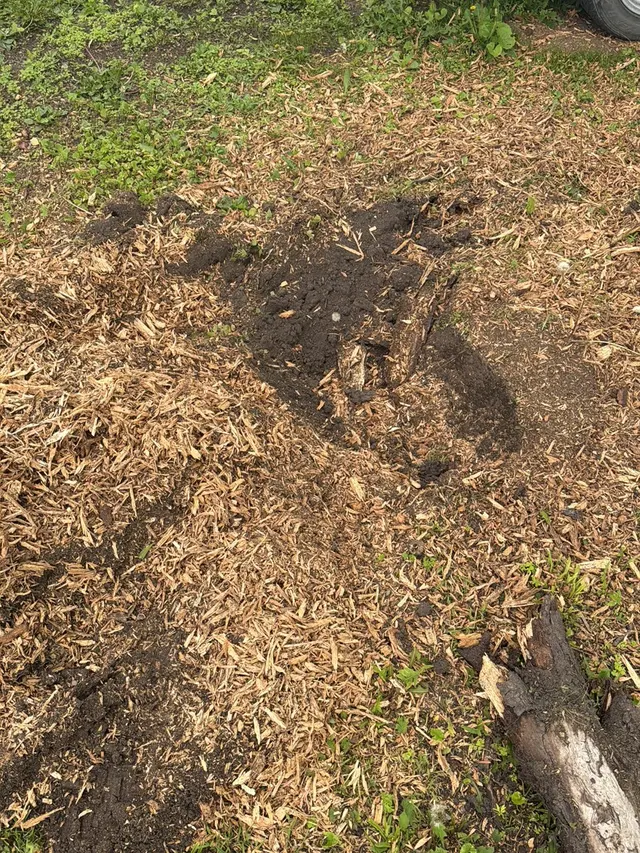 Customer photo of work by Krenik Stump Grinding L.L.C., from einna herrera's review
