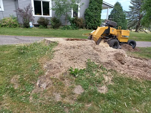 Krenik Stump Grinding L.L.C. — photo from the business 10
