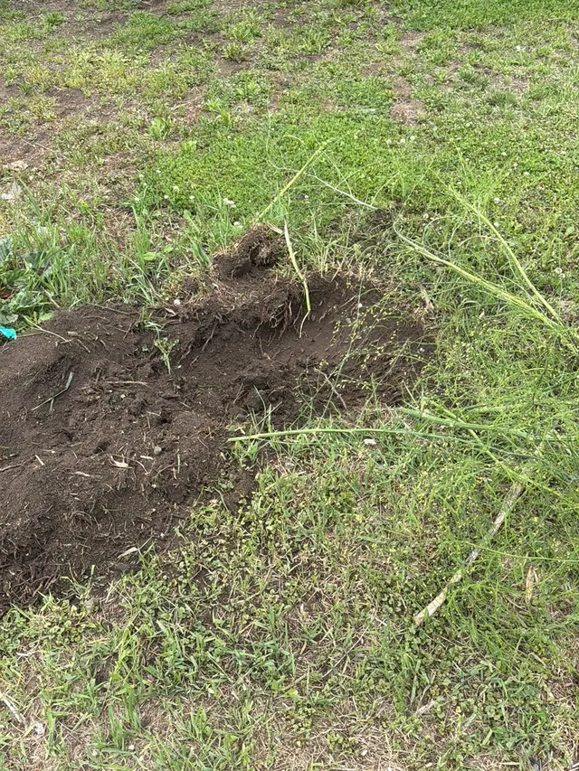 Customer photo of work by Krenik Stump Grinding L.L.C., from einna herrera's review