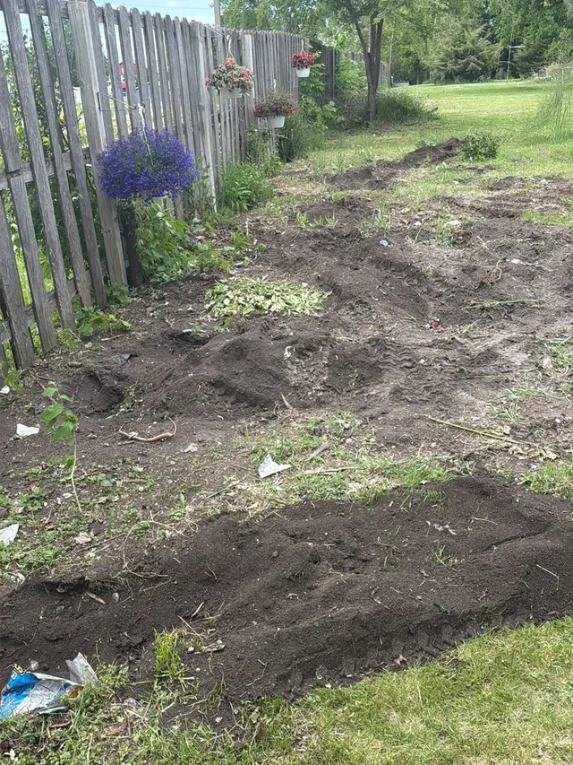 Customer photo of work by Krenik Stump Grinding L.L.C., from einna herrera's review