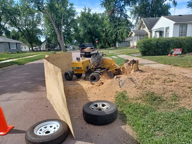 Krenik Stump Grinding L.L.C. — photo from the business 8