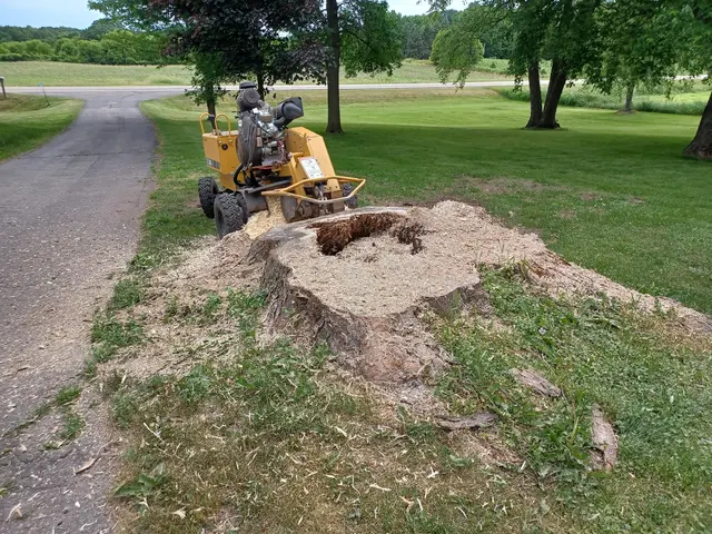 Krenik Stump Grinding L.L.C. — photo from the business 11