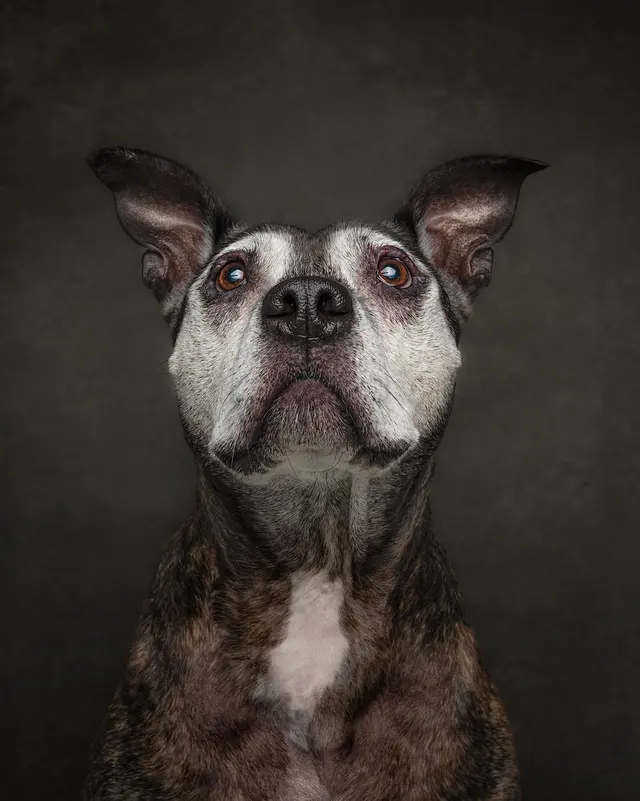 Stephanie Blum Photography — photo from the business 7