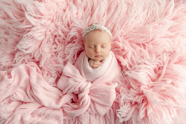 Megan Brodner Photography LLC — photo from the business 1