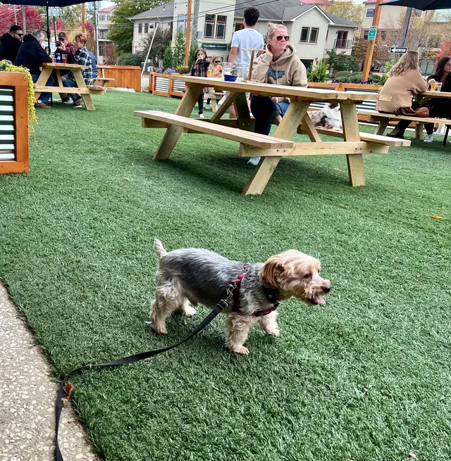 Blue Ridge Beer Garden — customer photo 8