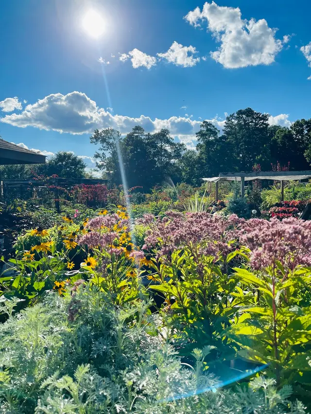 B.B. Barns — photo from the business 7