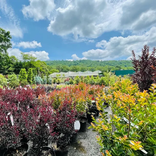 B.B. Barns — photo from the business 5