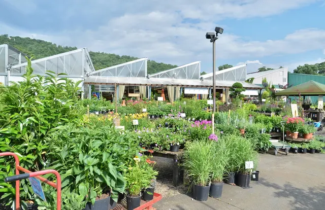 B.B. Barns — photo from the business 2