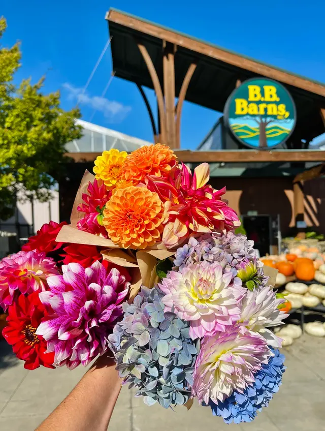 B.B. Barns — photo from the business 10