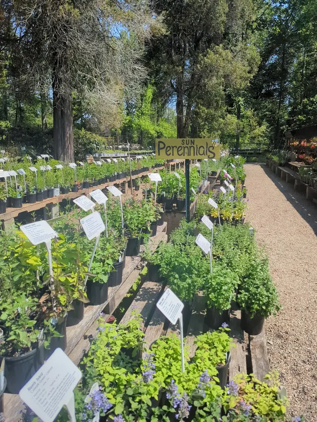 Raymond's Garden Center — photo from the business 9