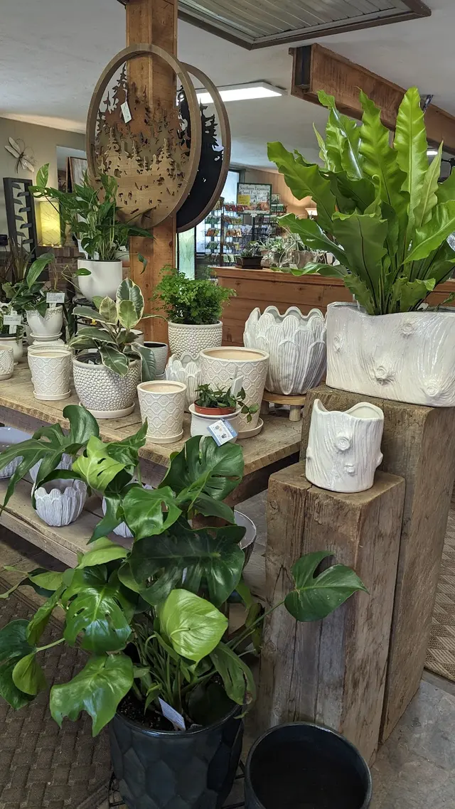 Raymond's Garden Center — photo from the business 5