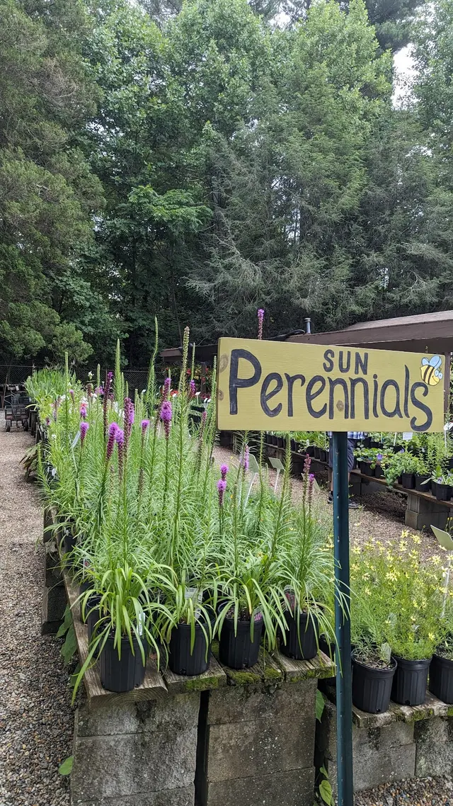 Raymond's Garden Center — photo from the business 7
