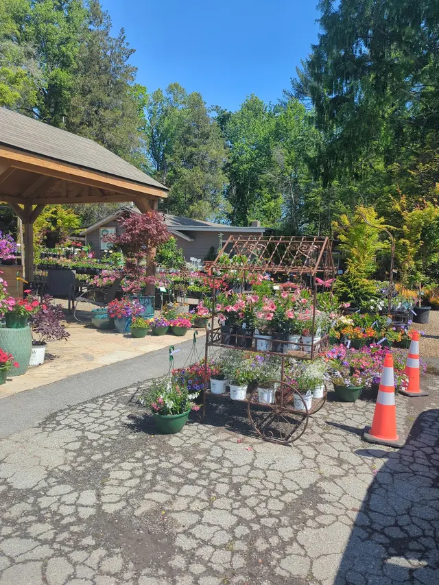 Raymond's Garden Center — photo from the business 8