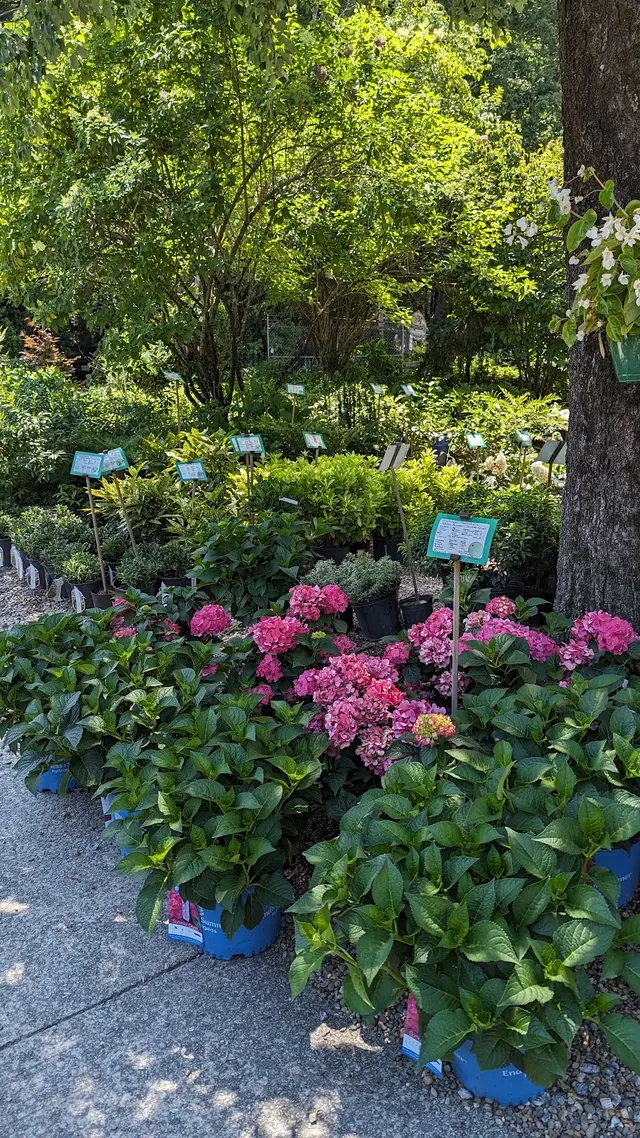 Raymond's Garden Center — photo from the business 6