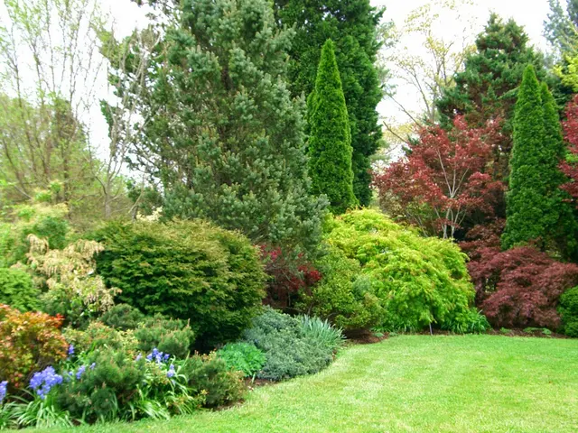 Bullington Gardens — photo from the business 6