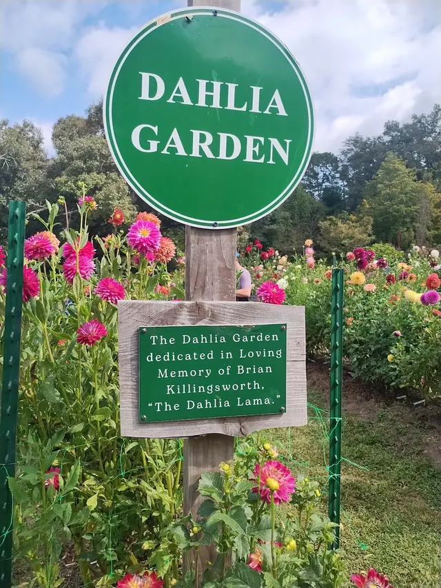 Customer photo of work by Bullington Gardens, from Consuelo Loftis's review